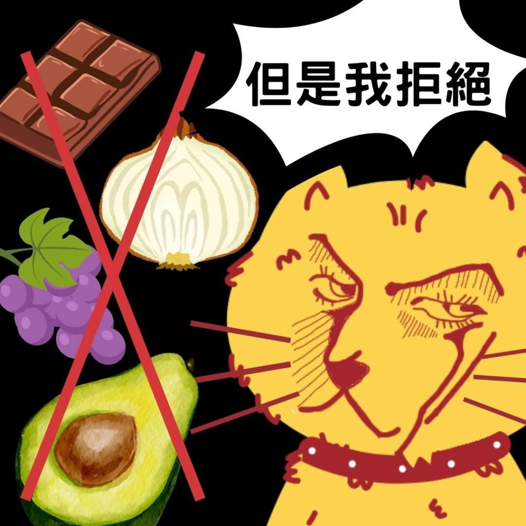 毛孩不能吃的人類食物
