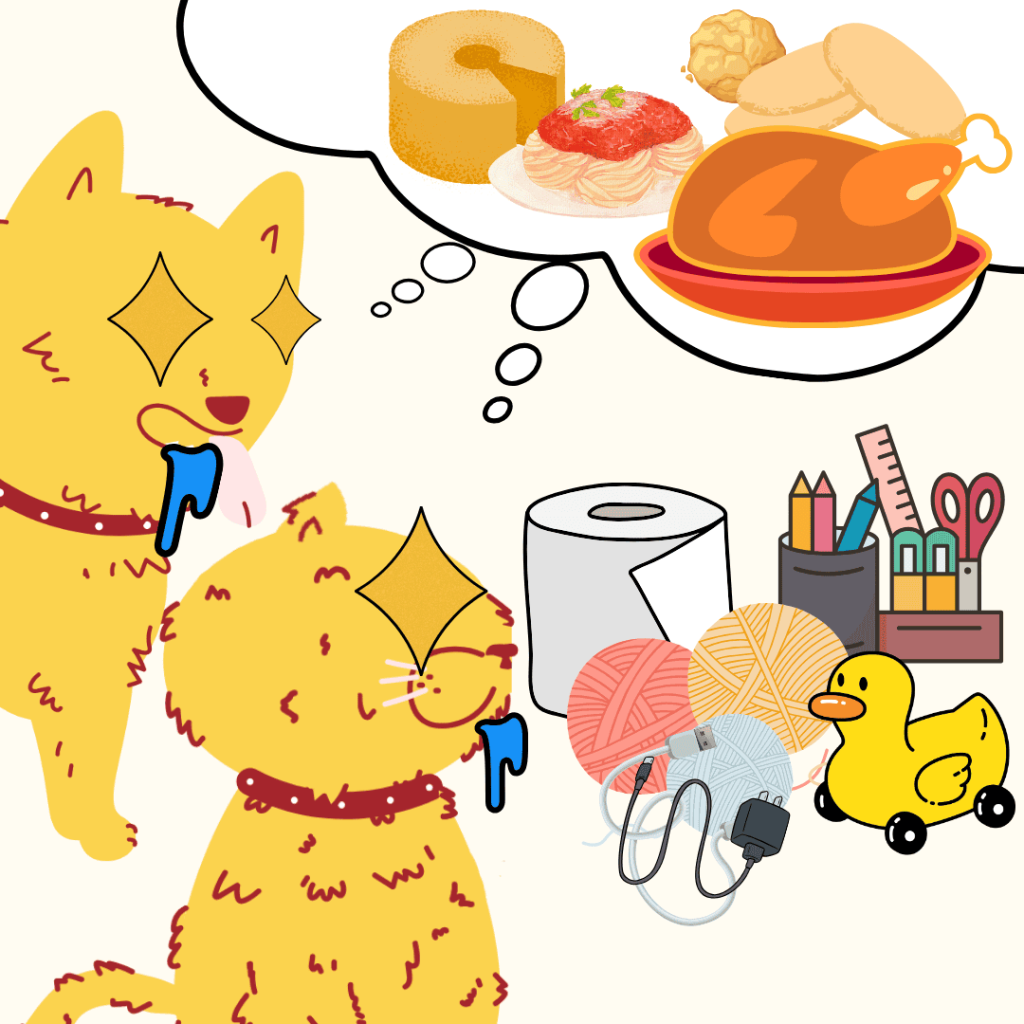 cats dogs pica