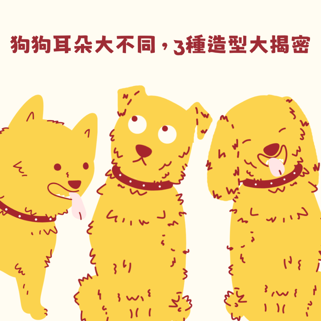 貓狗耳朵大不同