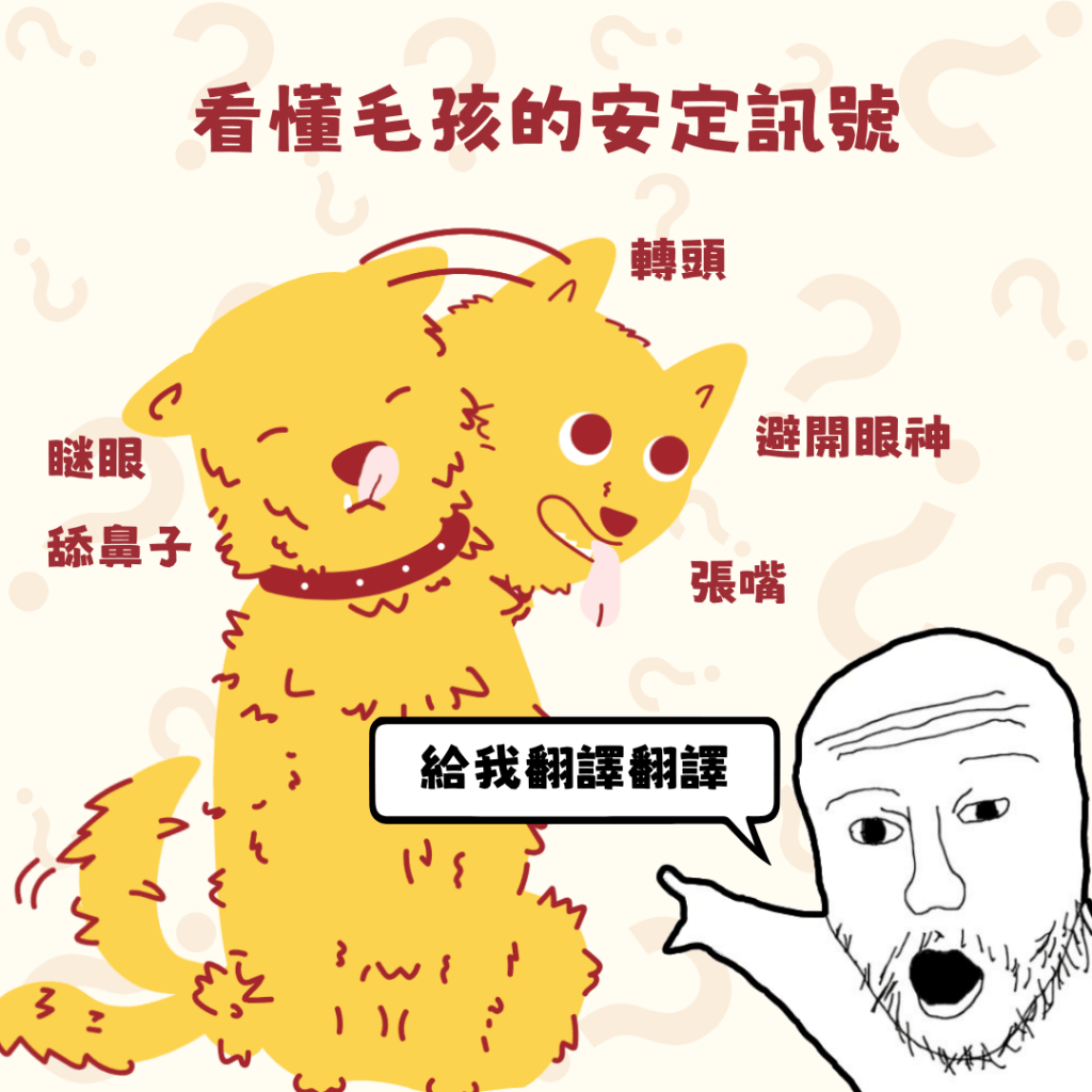 看好毛孩的安定訊號